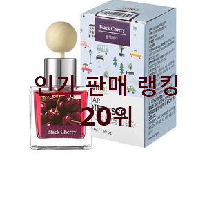  역대최고 차량용디퓨저 인기 랭킹 순위 20위