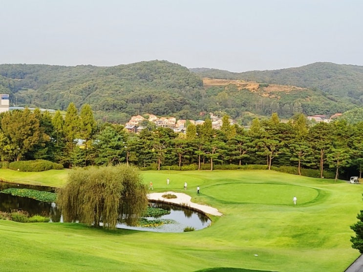  용인 은화삼CC 아쉬운 15홀 라운딩 (골프계의 신화 아놀드 파머가 설계한 국내 유일 코스)