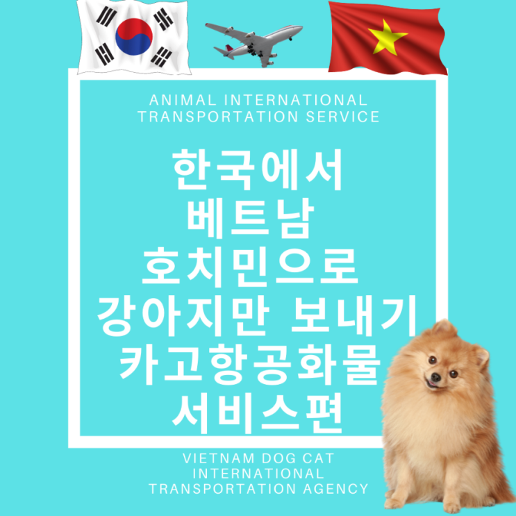  한국에서 베트남호치민으로 강아지 입국 출국 카고해외운송  반려동물검역
