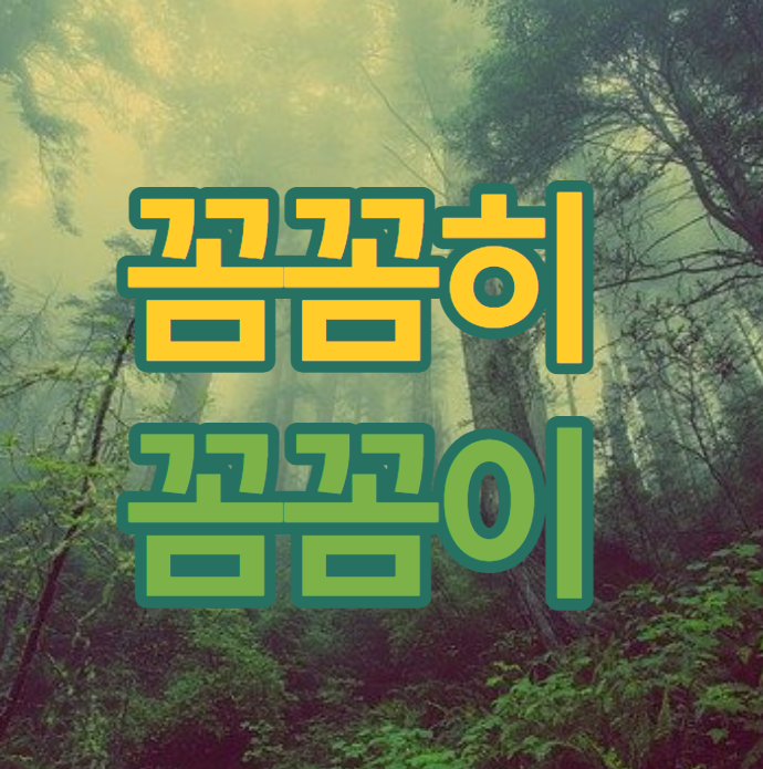 꼼꼼히 꼼꼼이 두 개 중 맞는 말은 무엇?