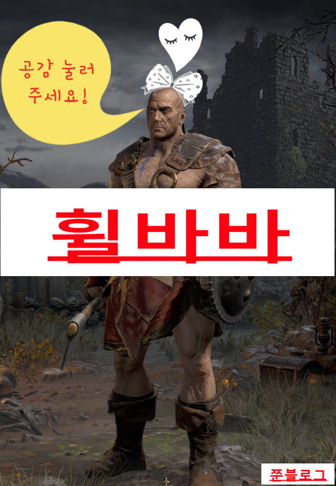  디아블로 2 레저렉션 바바리안/휠윈드(스킬&스탯 기본세팅)