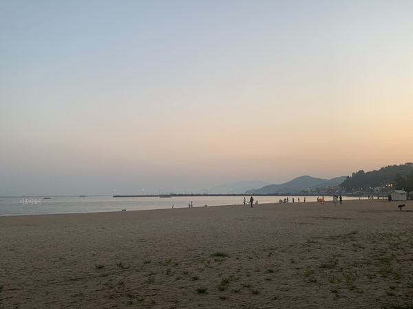  [전남] 보성 율포솔밭해수욕장에서의 하루, 캠핑 그리고 회, 폭죽놀이