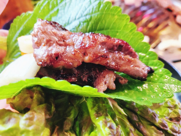  [미아] 미아역  고기 맛집 가격 가성비 좋은 석순할매 연탄위에갈비