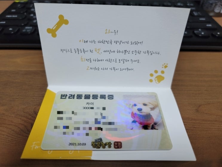  2021 케이펫페어 송도. 펫박람회. 럽마이펫 애견미용기 샀다. 애견과 가볼만한곳