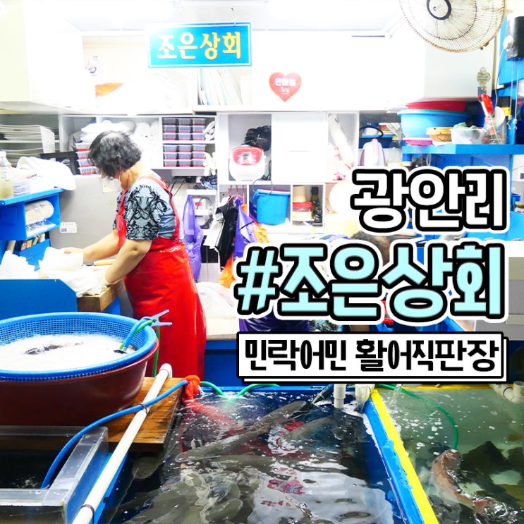  광안리 회 포장 민락 어민 활어 직판장 (부산)