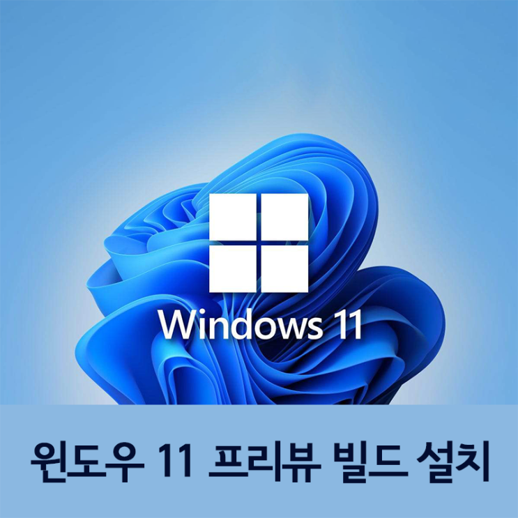 Microsoft windows 11 preview 풀버전 설치 초간단 방법 (다운로드 포함)
