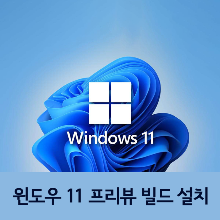 Microsoft windows 11 preview 풀버전 다운로드 및 설치법