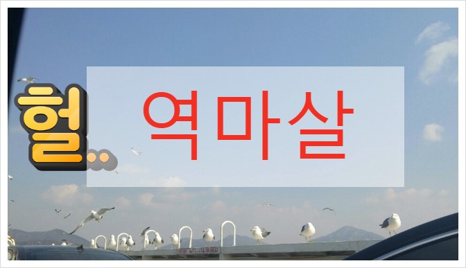  유명한점집 에서 역마살 해석과 소문난철학관에서 해석의 차이를 살펴보겠습니다.