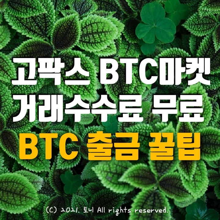 (12월) 고팍스(gopax)거래소 BTC코인마켓 모든 거래수수료 0원 무료 이벤트. 이체 출금 절약 꿀팁