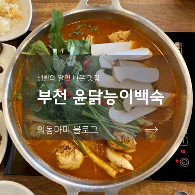  부천닭도리탕 윤닭능이백숙 :: 방송 출연 맛집 인정