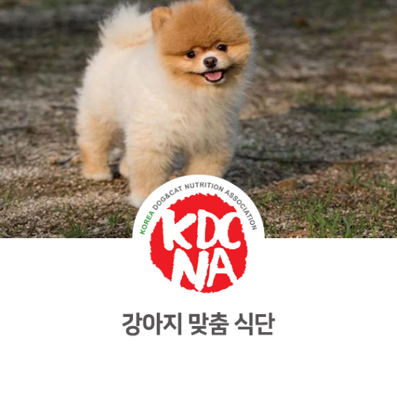  강아지 맞춤 식단, 식이관리, 자연식에 대해서 알아봐요 [한국반려동물영양협회/나의반려/익산강아지간식/펫푸드수업/펫푸드자격증/충주/세종/광주/순천/창원]_886