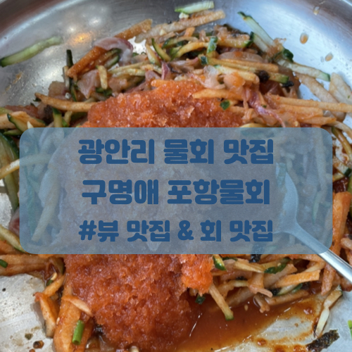  광안리 물회 구명애 포항물회! 광안동 맛집 후기