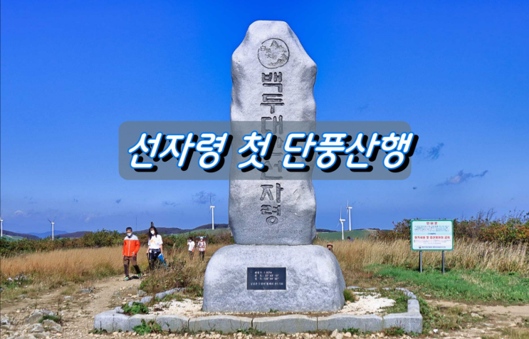 해발 1,157m 백두대간 선자령 단풍산행