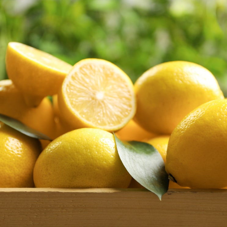 인지도 있는 팬시 레몬 중과 3kg(25개내외) 미국산 신선한 레몬, 3kg 25개내외 추천합니다