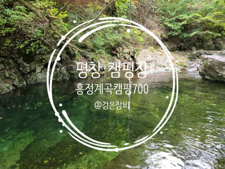 흥정계곡캠핑700!! 평창 캠핑장 추천 1순위로 타잔 놀이 가능한 다이빙 계곡 캠핑장!!!