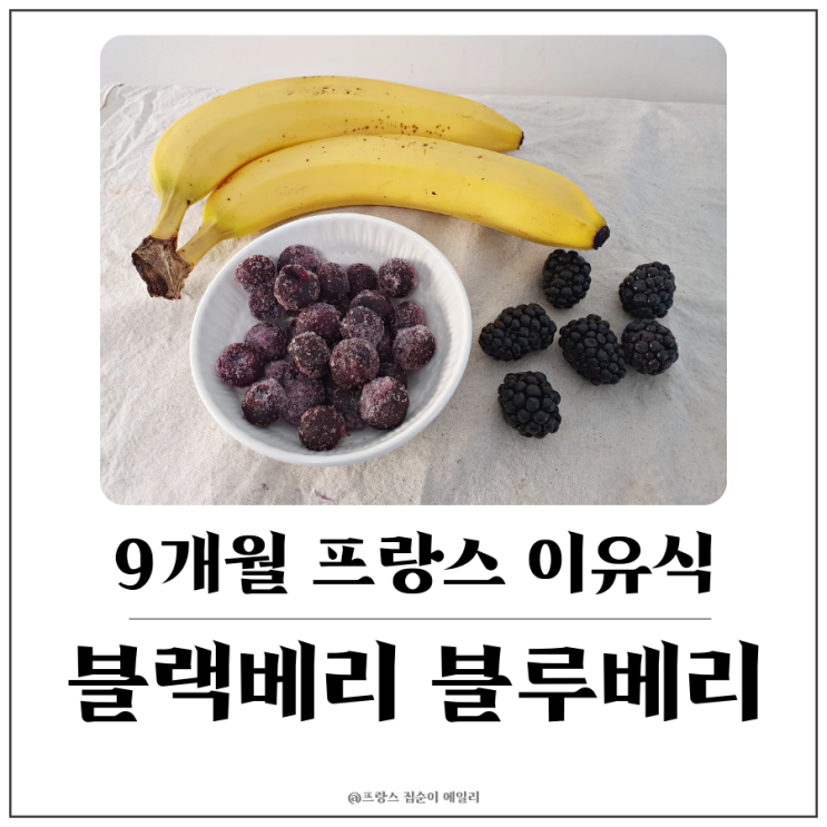  [9개월 아기 프랑스 이유식] 블랙베리(슈퍼복분자), 블루베리 콩포트 만들고 바나나와 갈아주기