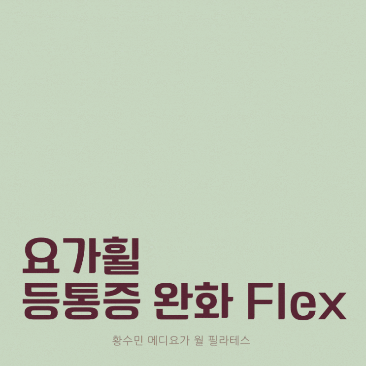  등통증 완화방법 동두천 요가휠 메디월(테라피월) 추천