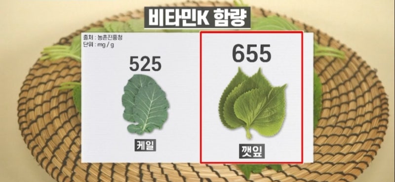 비타민 K 혈당 예방에 좋은 깻잎의