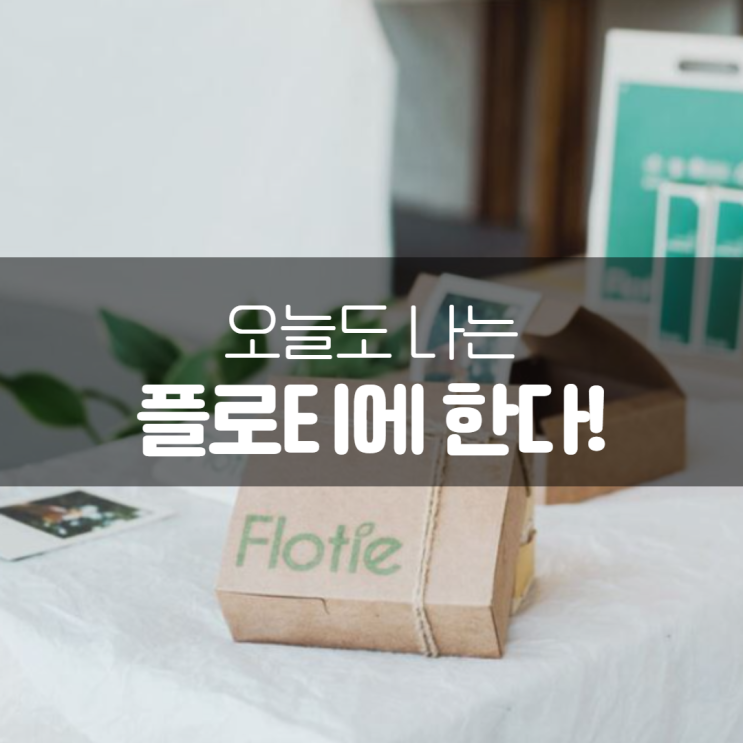  오늘도 플로티에 Flotie 하세요 제주 담팔수 수딩 미스트