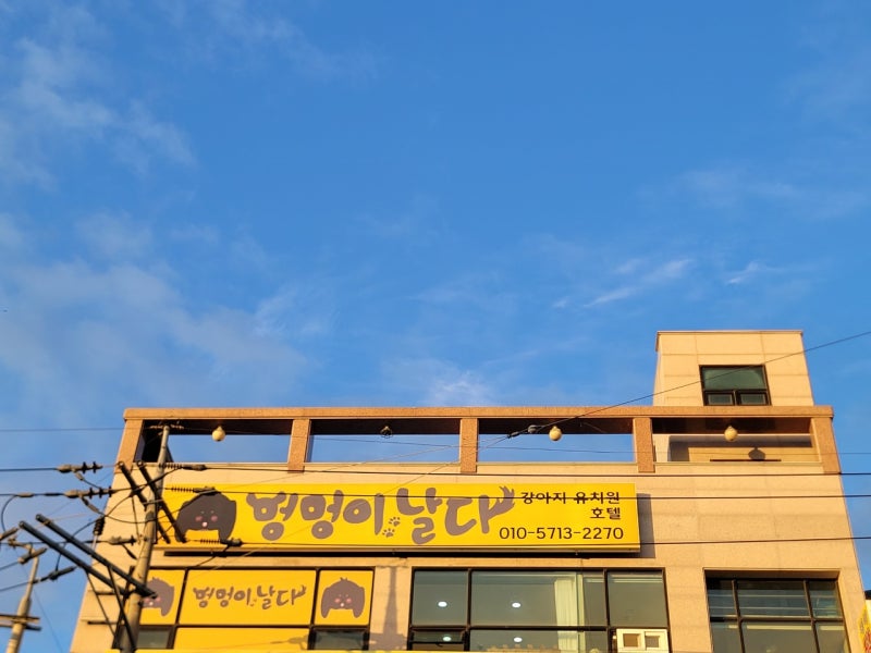 사진 5