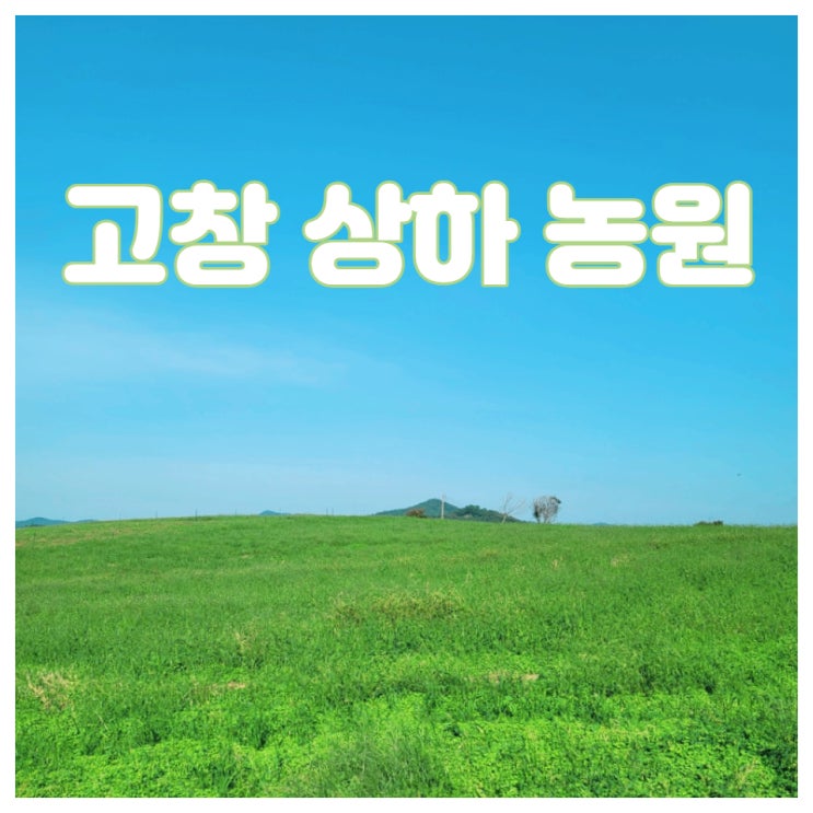  고창 상하농원 테마공원 2021 할로윈 테마여행으로 즐거운 곳!고창놀거리 볼거리 상하목장