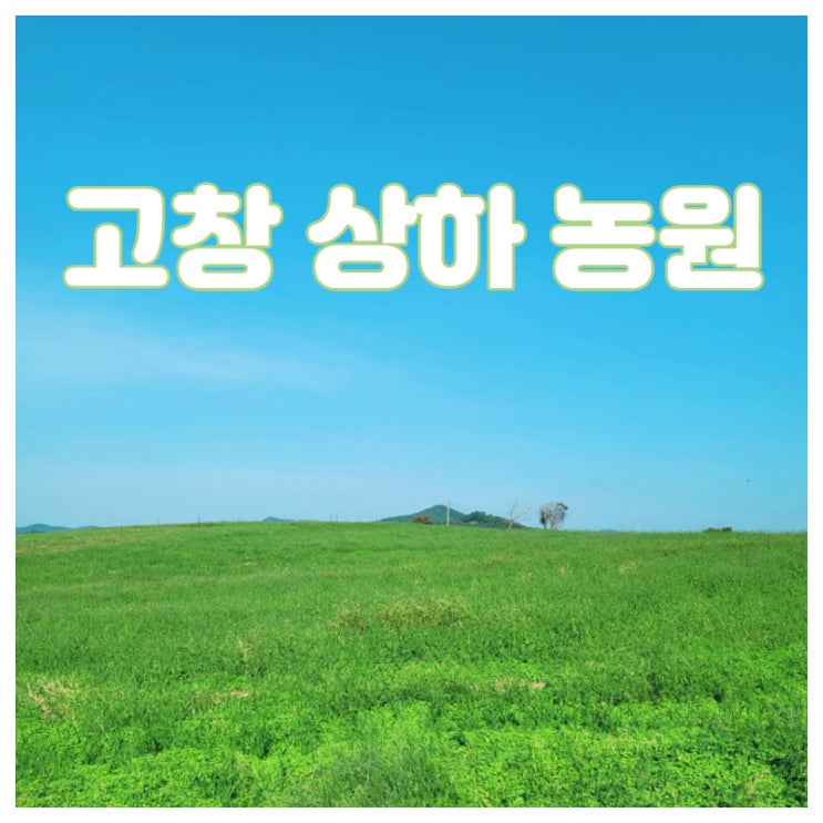 고창 상하농원 테마공원 2021 할로윈 테마여행으로 즐거운 곳!고창놀거리 볼거리 상하목장