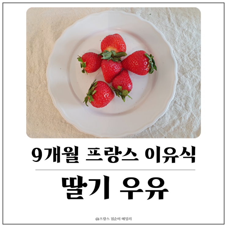  [9개월 아기 프랑스 이유식] 생 딸기, 바나나에 분유 넣고 갈아서 스무디 만들기