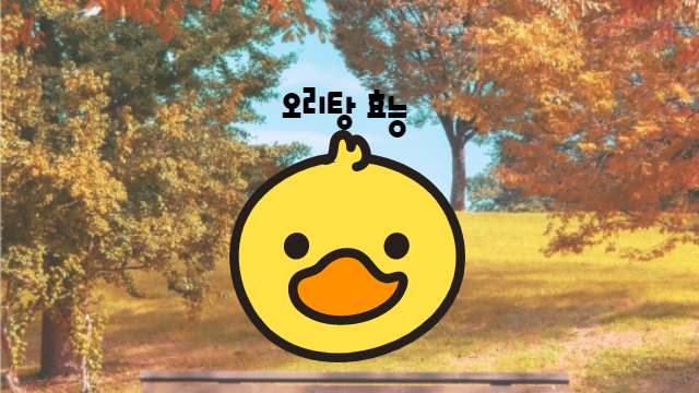  오리고기 : 효능, 칼로리, 부추와 함께?