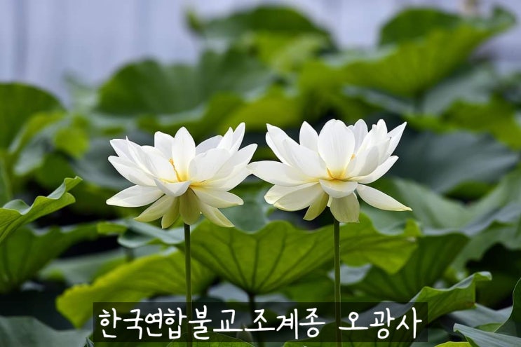  한국불교 오광사 찾아오시는 길 안내합니다.