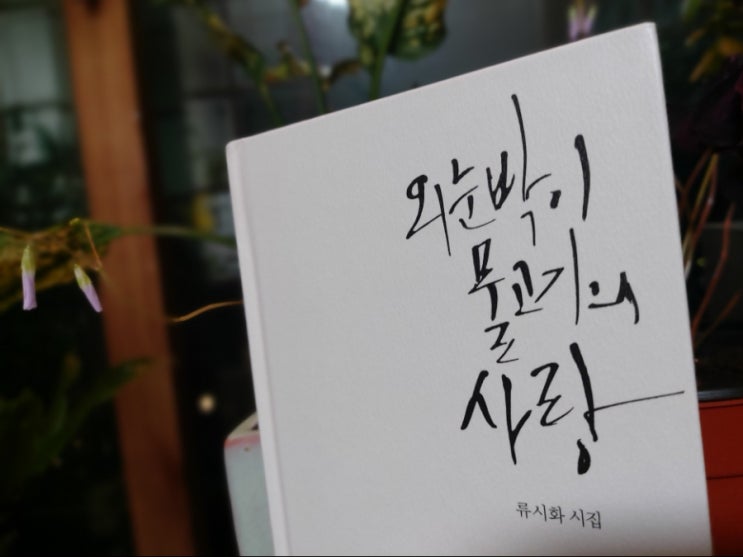 <시> 사물들은 저마다 내게 안부를 묻는다 류시화 <시> 사물들은 저마다 내게 안부를 묻는다 류시화