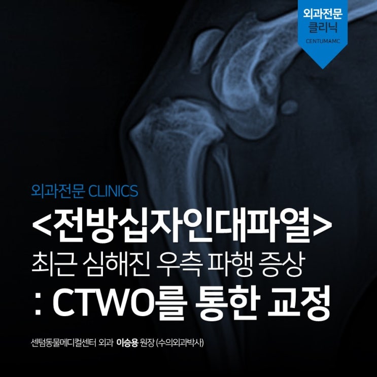  최근 들어 심해진 오른쪽 뒷다리 <전방십자인대파열> CTWO 수술 (센텀동물메디컬센터 부산 강아지 다리 교정전문 동물병원)