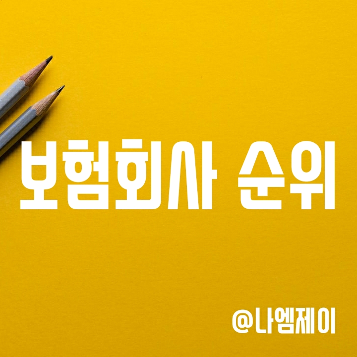 손해보험회사 순위 (보험금 잘주는 회사는?) 손해보험회사 순위 (보험금 잘주는 회사는?)