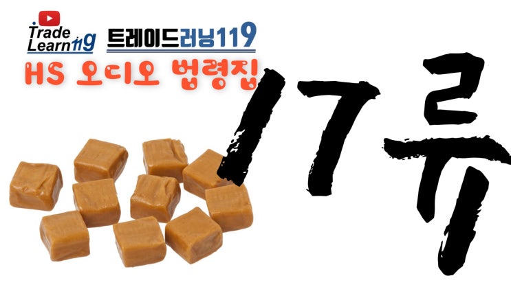  제17류 [2022 관세율표 HS 오디오 법령집]