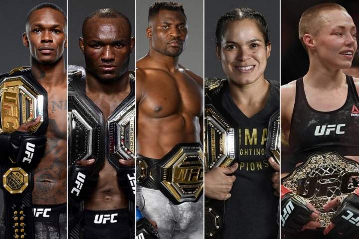 현 UFC 체급 구도에 대한 생각 현 UFC 체급 구도에 대한 생각