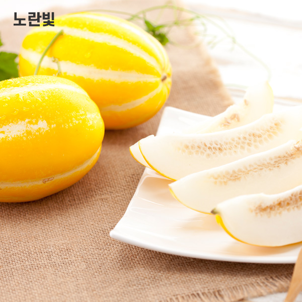후기가 정말 좋은 노란빛 달콤한 성주 참외, 가정용 참외 3kg 꼬마소과 (9-16과) ··· 후기가 정말 좋은 노란빛 달콤한 성주 참외, 가정용 참외 3kg 꼬마소과 (9-16과) ···