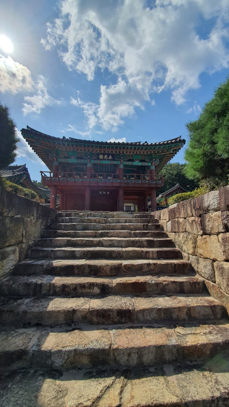  영천 가볼 만한 곳 포은 정몽주
