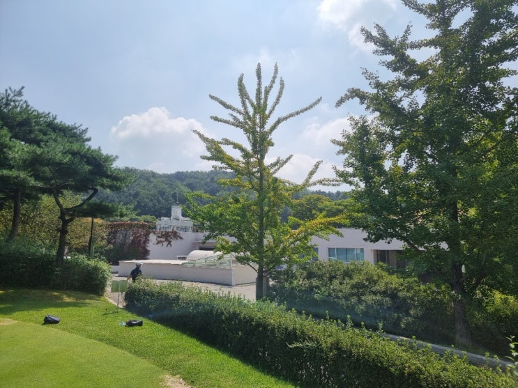  [골프] 뉴스프링빌CC 후기 (ft. 지금까지 가장 만족스러웠던 골프장!)