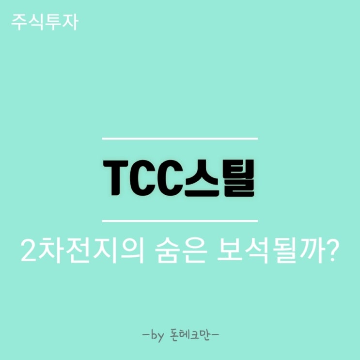 2차 전지 숨은 보석, TCC 스틸