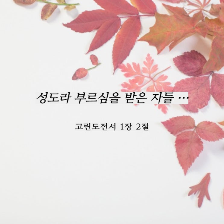  비전의 빛 가운데