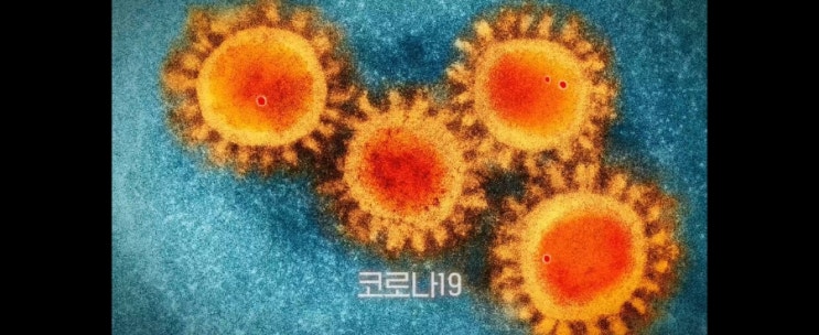  델타 변이에 가장 효과적인 백신은?