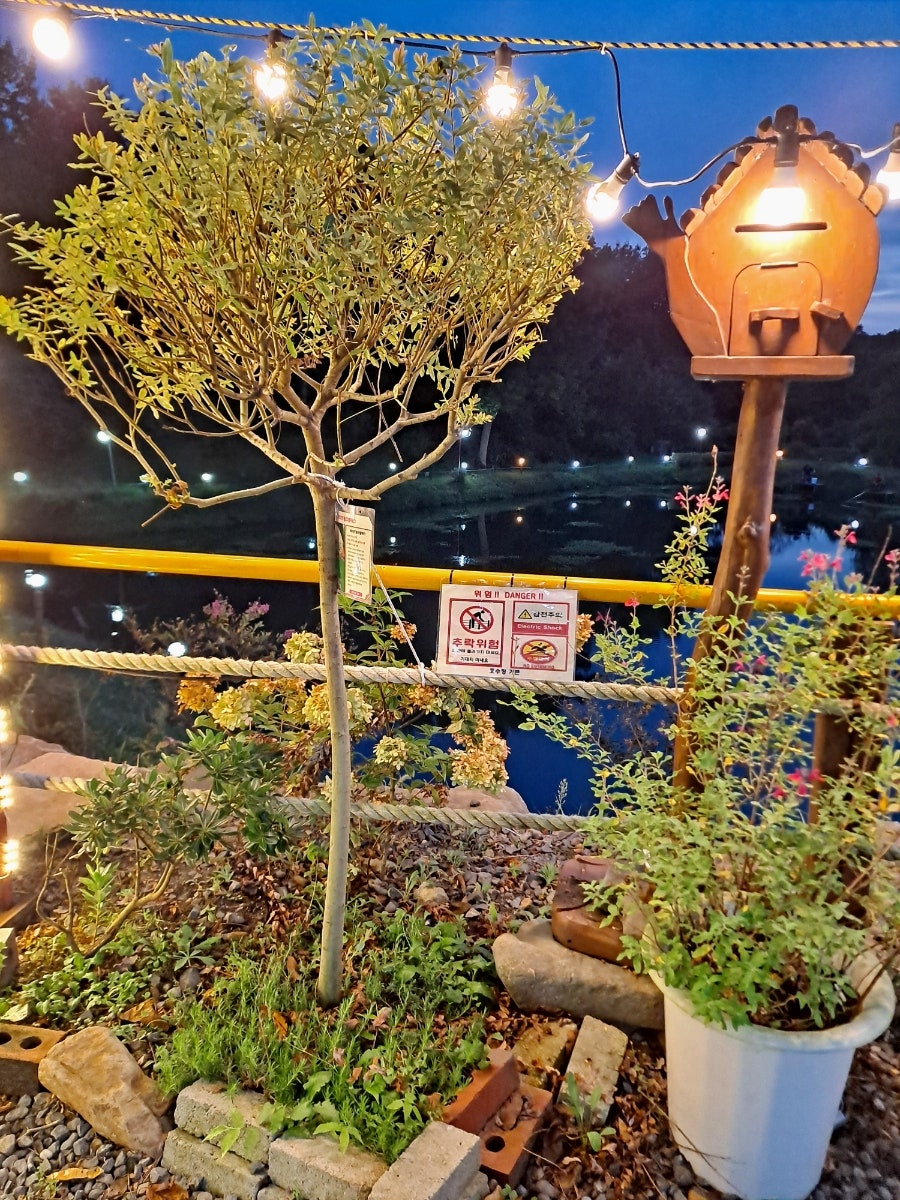 호수정가든 사진 5