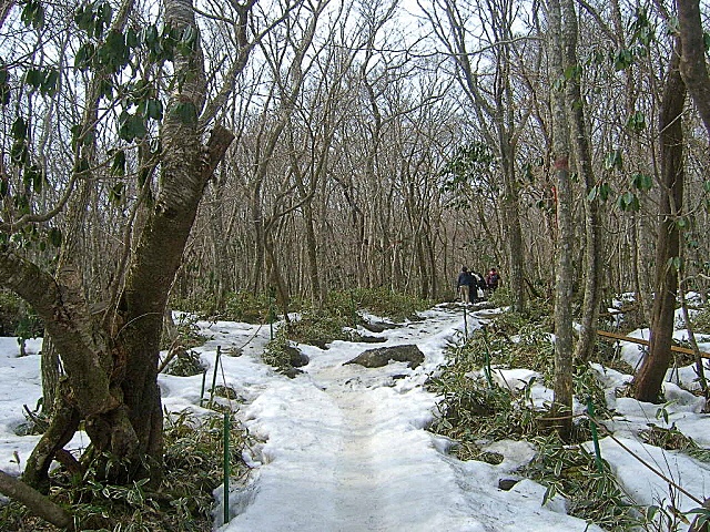  제주 기행 ④ 한라산 백록담에는 물이 없다