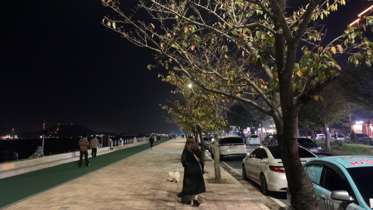  [전남] 근교 목포 애견 산책 평화의 광장에서 친구들과 만나요