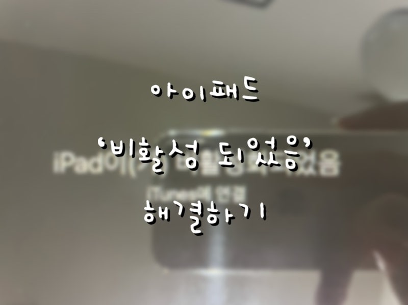 꿀팁:: 아이패드 비활성화 푸는 방법(무한사과, 비활성화 이유, 비마트 케이블)