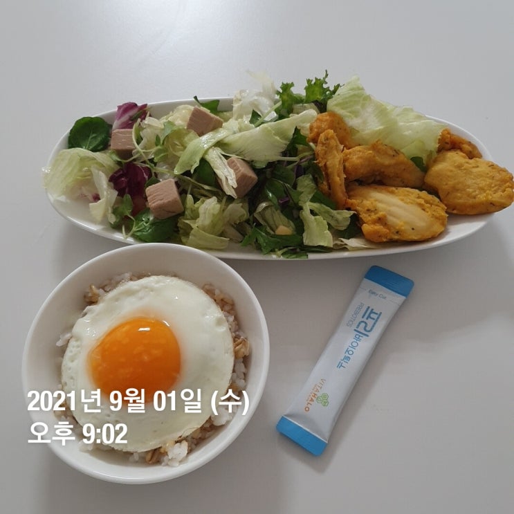  다이어트 식단 모음집 1