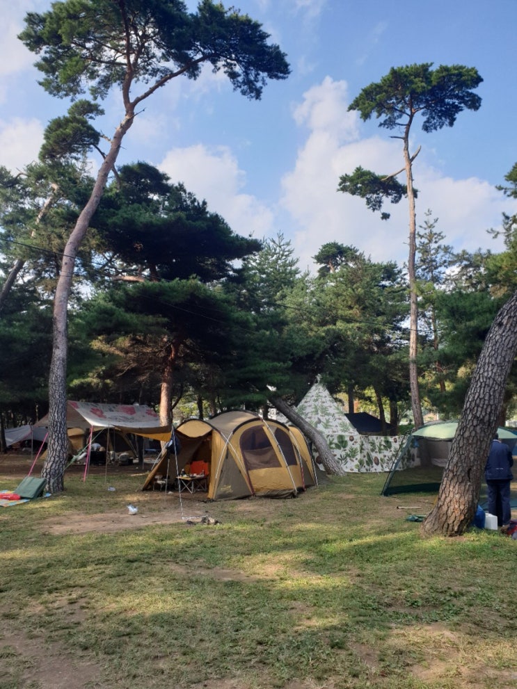  [밀양가볼만한곳] 부산근교 캠핑장 추천 !