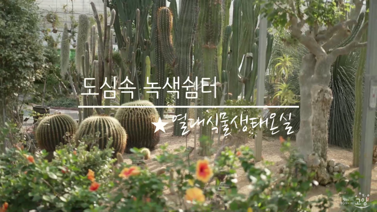 도심 속 녹색쉼터, 고양시농업기술센터 열대식물생태온실 도심 속 녹색쉼터, 고양시농업기술센터 열대식물생태온실