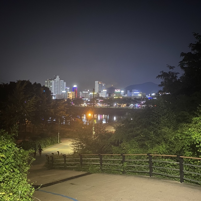  [여행 기록] 여수 밤바다 + 예술의 섬 장도의 야경