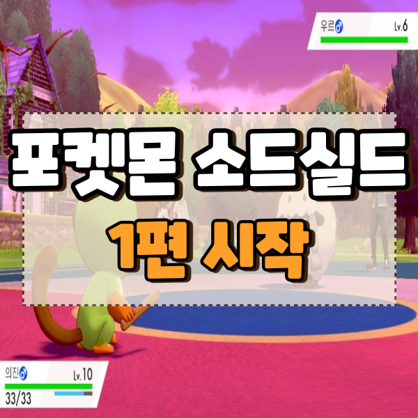  포켓몬스터 소드 실드 공략 1편 엔딩까지완료