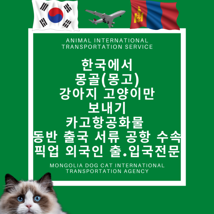  한국에서 몽골(몽고)  반려동물 고양이 강아지 해외운송 고양이 강아지입국 검역 수속 출국서류